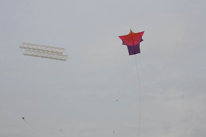 Basingstoke Kite Festival - 10bas05img009.jpg