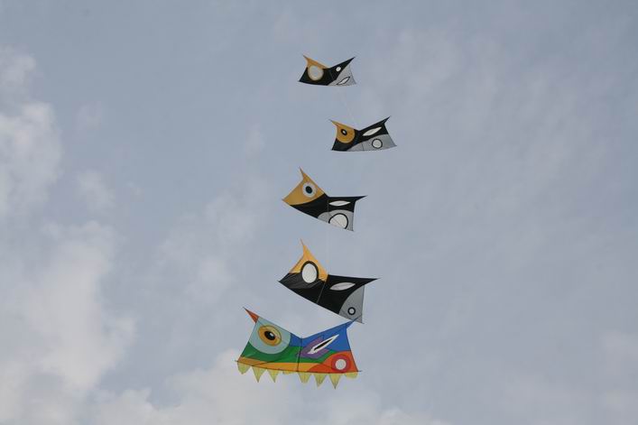 Basingstoke Kite Festival - 10bas05img019.jpg