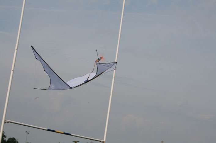 Basingstoke Kite Festival - 10bas05img027.jpg