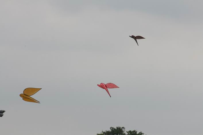 Basingstoke Kite Festival - 10bas06img017.jpg