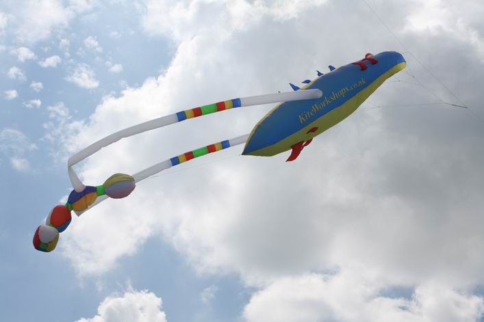 Basingstoke Kite Festival - 10bas06img052.jpg