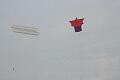 Basingstoke Kite Festival - 10bas05img009.jpg