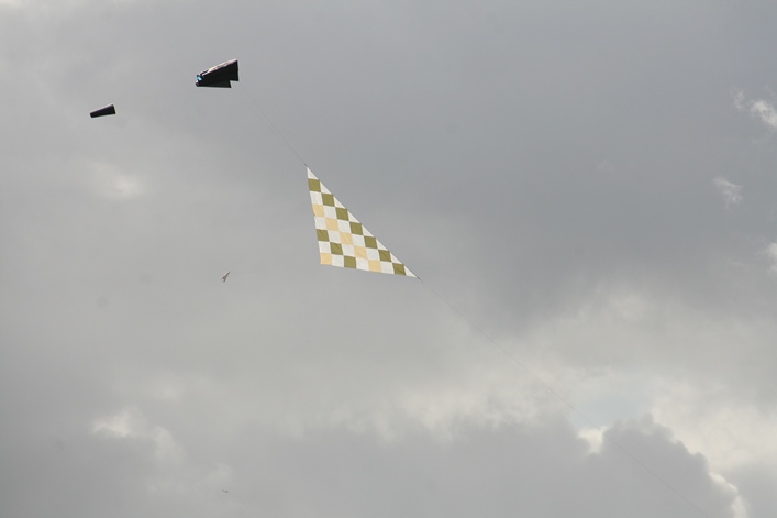 Chester Kite Festival - 17-18 September 2011 - 11che17img004.jpg