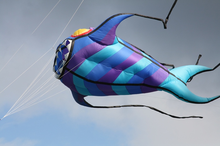 Chester Kite Festival - 17-18 September 2011 - 11che17img007.jpg