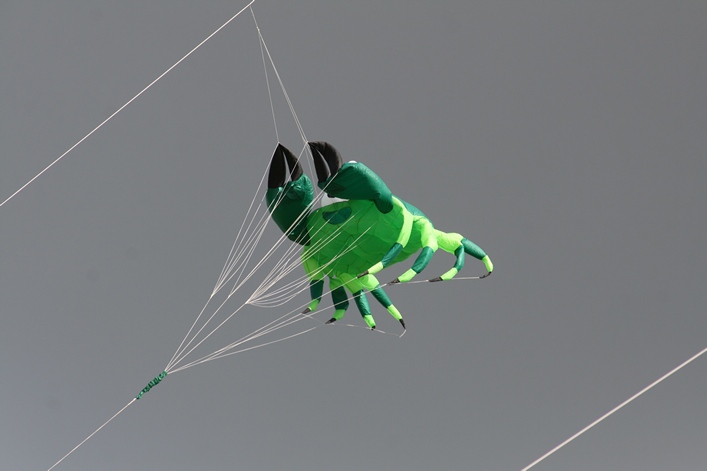 Chester Kite Festival - 17-18 September 2011 - 11che17img014.jpg