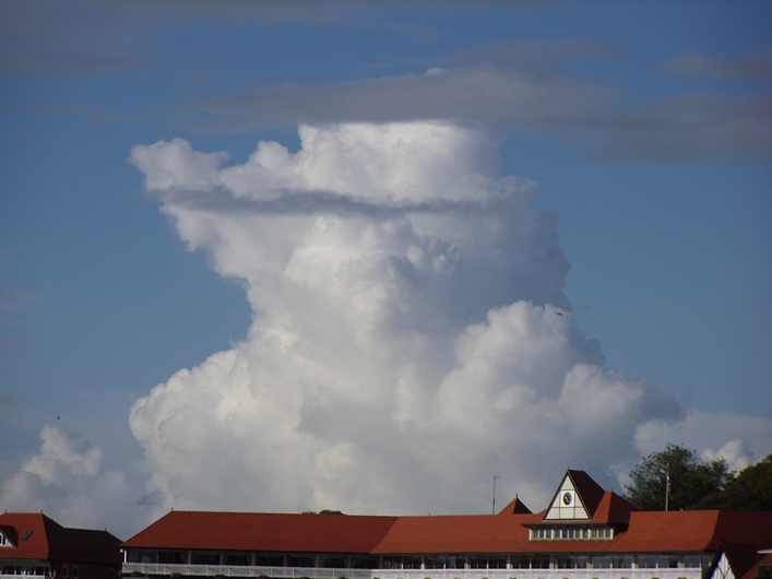 Chester Kite Festival - 17-18 September 2011 - 11che17img054.jpg