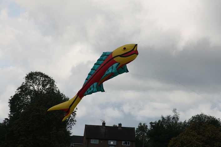 Chester Kite Festival - 17-18 September 2011 - 11che18img028.jpg