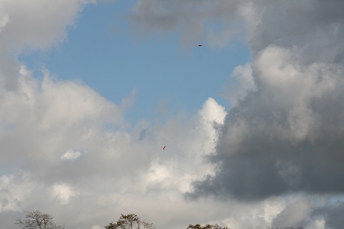 Chester Kite Festival - 17-18 September 2011 - 11che18img068.jpg