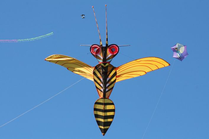 Frejus 2007 - 07fre27img250.jpg