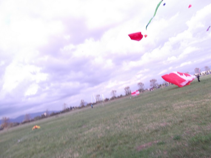 Frejus Kite Festival, France: 30-31 October 2010 - 10fre02img015.jpg