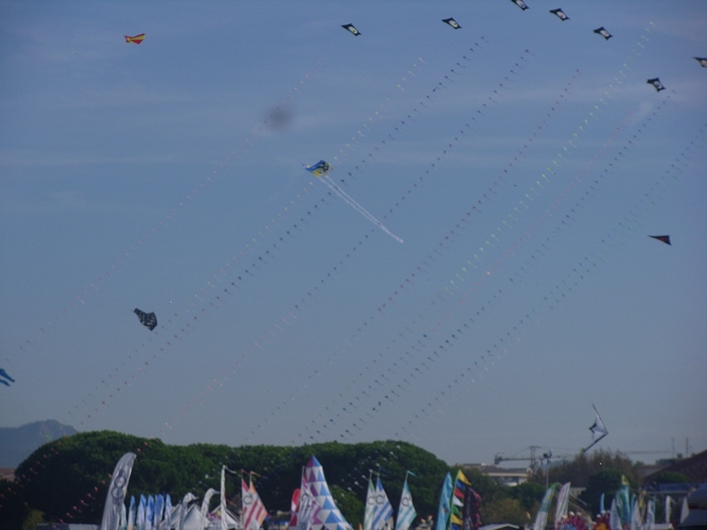 Frejus Kite Festival - France, 29-30 October 2011 - 11fre03img013.jpg