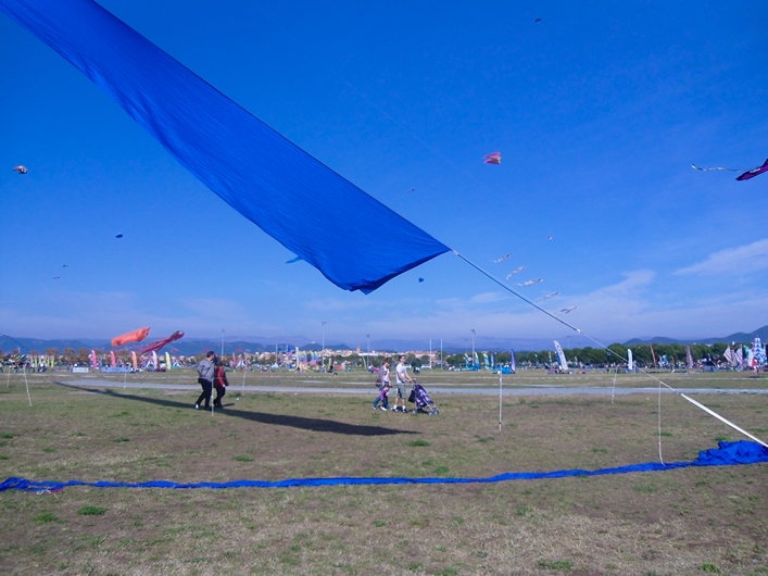 Frejus Kite Festival - France, 29-30 October 2011 - 11fre03img060.jpg