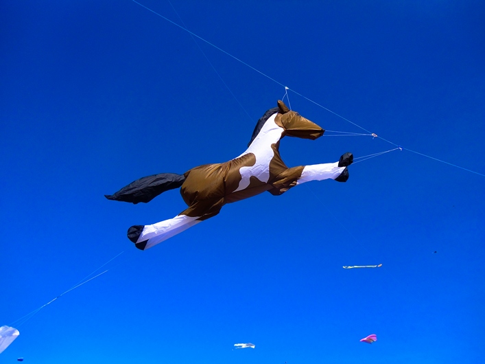 Frejus Kite Festival - France, 29-30 October 2011 - 11fre03img063.jpg