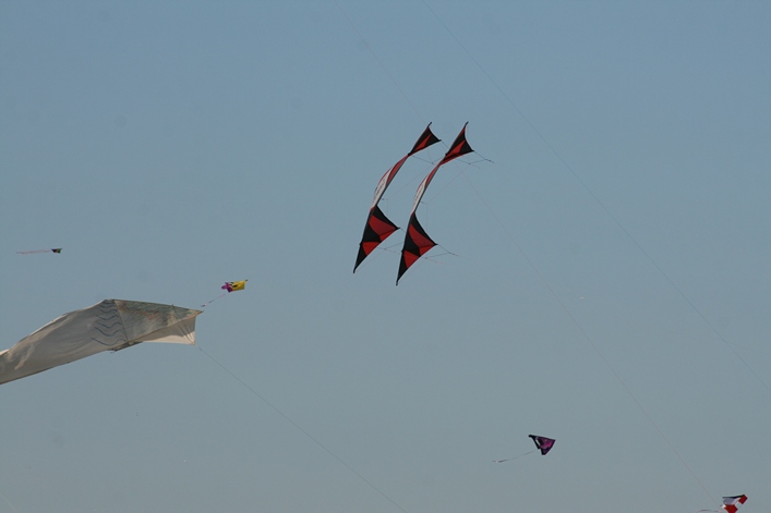 Frejus Kite Festival - France, 29-30 October 2011 - 11fre03img155.jpg