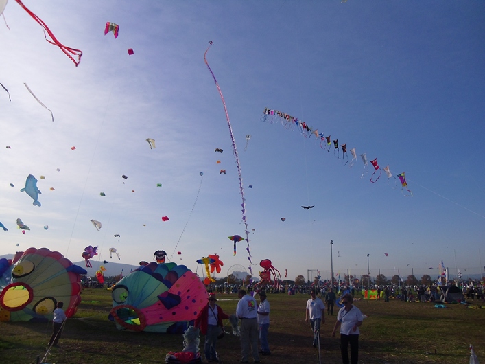 Frejus Kite Festival - France, 29-30 October 2011 - 11fre03img207.jpg