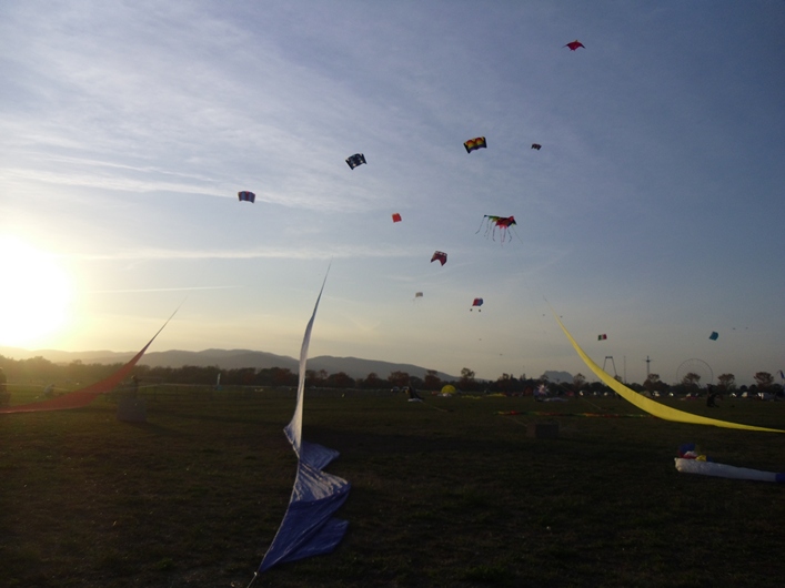 Frejus Kite Festival - France, 29-30 October 2011 - 11fre03img236.jpg