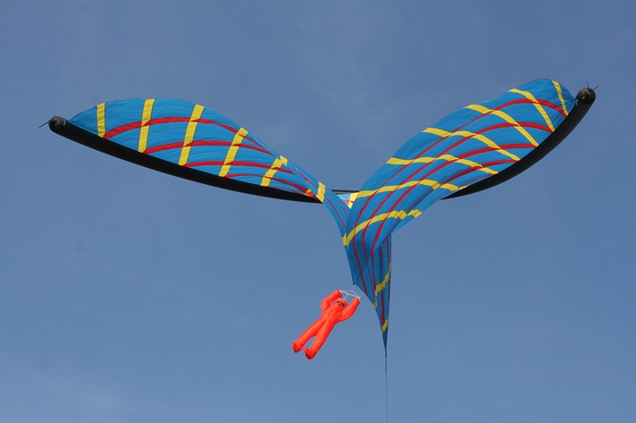 Frejus Kite Festival - France, 29-30 October 2011 - 11fre04img012.jpg