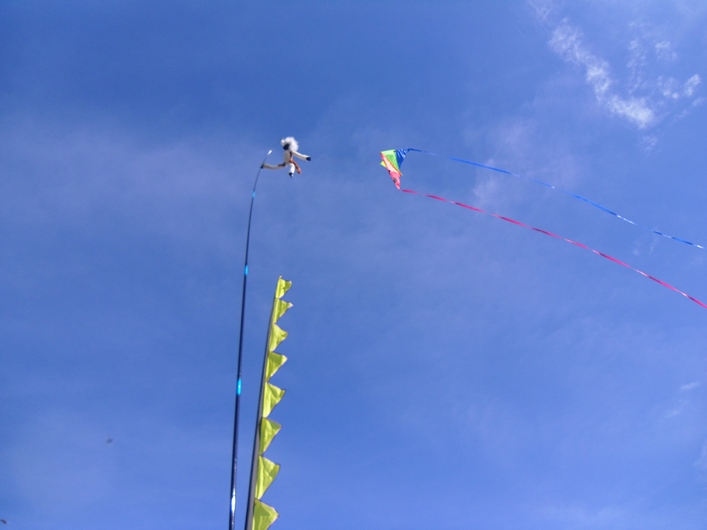 Frejus Kite Festival - France, 29-30 October 2011 - 11fre04img045.jpg