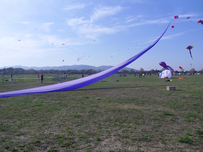 Frejus Kite Festival - France, 29-30 October 2011 - 11fre04img083.jpg