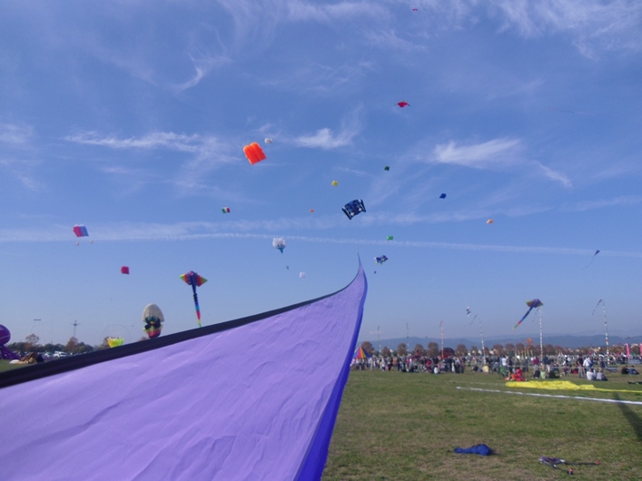 Frejus Kite Festival - France, 29-30 October 2011 - 11fre04img089.jpg