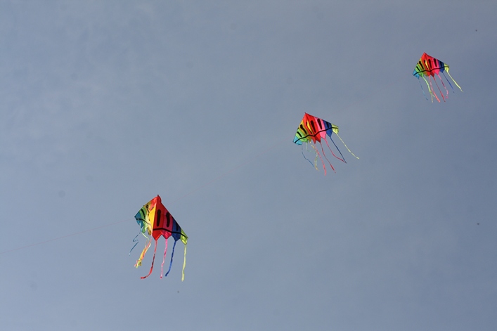 Frejus Kite Festival - France, 29-30 October 2011 - 11fre04img141.jpg