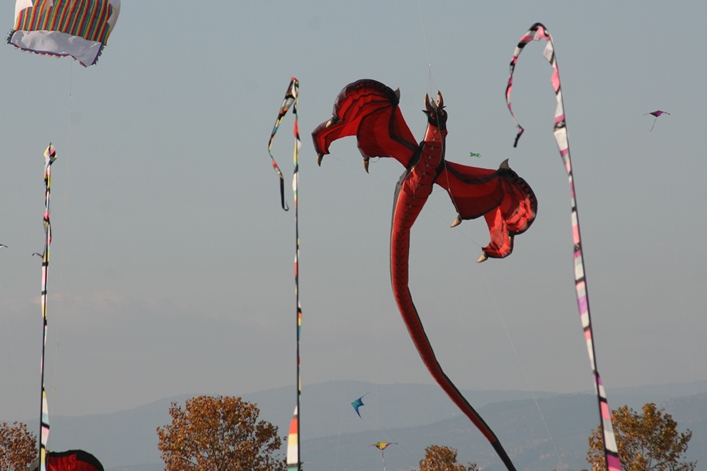 Frejus Kite Festival - France, 29-30 October 2011 - 11fre04img144.jpg