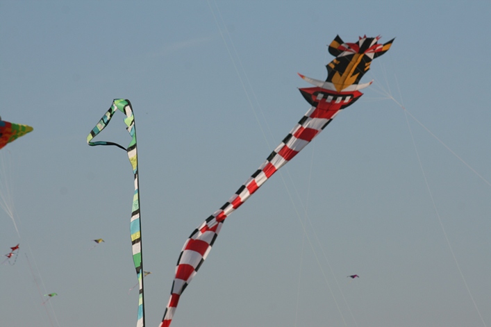 Frejus Kite Festival - France, 29-30 October 2011 - 11fre04img147.jpg