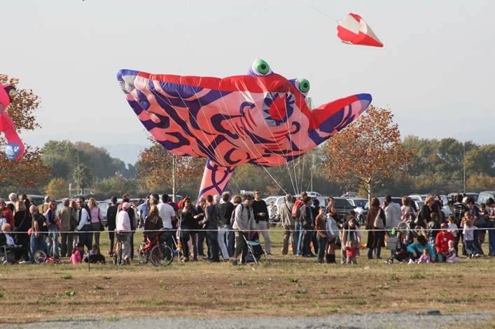 Frejus Kite Festival - France, 29-30 October 2011 - 11fre04img153.jpg