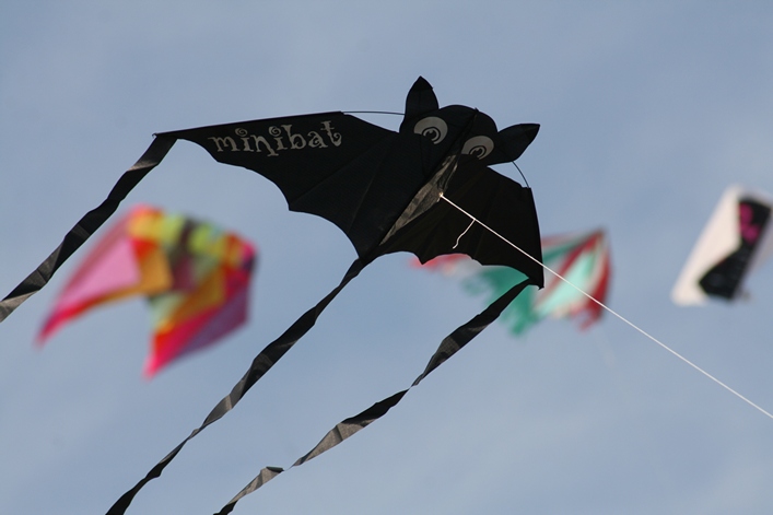 Frejus Kite Festival - France, 29-30 October 2011 - 11fre04img155.jpg