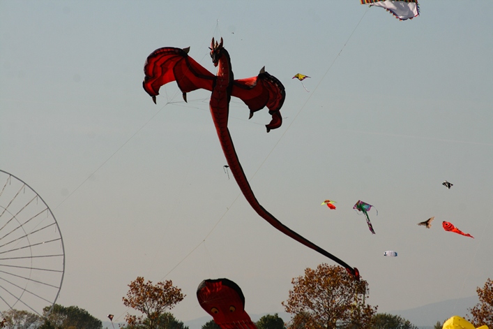 Frejus Kite Festival - France, 29-30 October 2011 - 11fre04img159.jpg