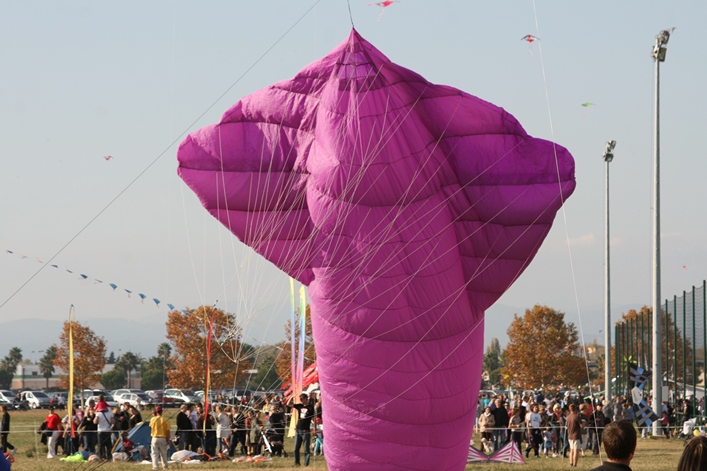 Frejus Kite Festival - France, 29-30 October 2011 - 11fre04img172.jpg