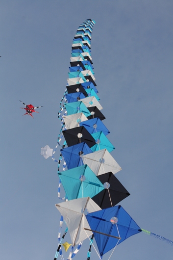 Frejus Kite Festival - France, 29-30 October 2011 - 11fre04img174.jpg