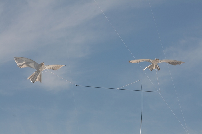 Frejus Kite Festival - France, 29-30 October 2011 - 11fre04img188.jpg