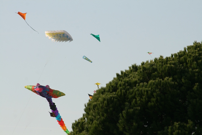 Frejus Kite Festival - France, 29-30 October 2011 - 11fre04img195.jpg
