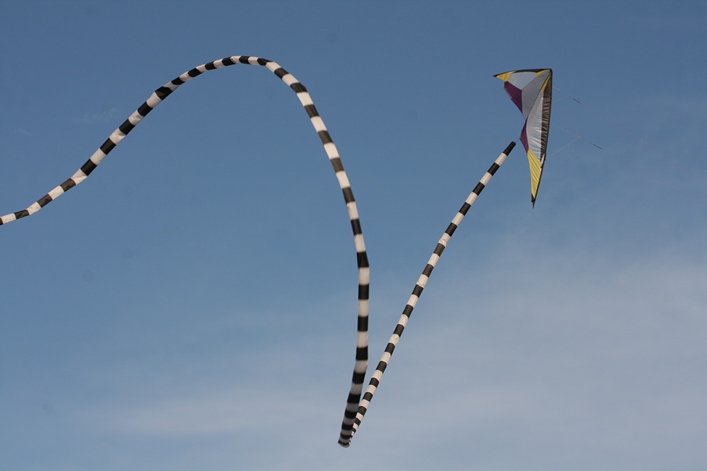 Frejus Kite Festival - France, 29-30 October 2011 - 11fre04img226.jpg