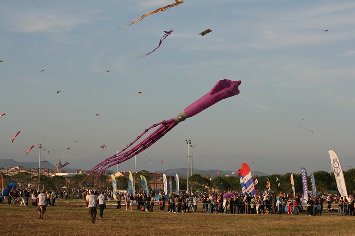 Frejus Kite Festival - France, 29-30 October 2011 - 11fre04img236.jpg