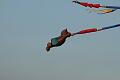 Frejus Kite Festival - France, 29-30 October 2011 - 11fre03img164.jpg