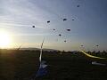Frejus Kite Festival - France, 29-30 October 2011 - 11fre03img236.jpg