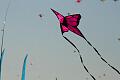 Frejus Kite Festival - France, 29-30 October 2011 - 11fre04img193.jpg