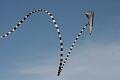 Frejus Kite Festival - France, 29-30 October 2011 - 11fre04img226.jpg