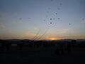 Frejus Kite Festival - France, 29-30 October 2011 - 11fre04img301.jpg