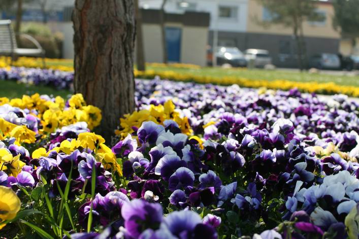 Grmetz 2009 - 09gro10img041.jpg