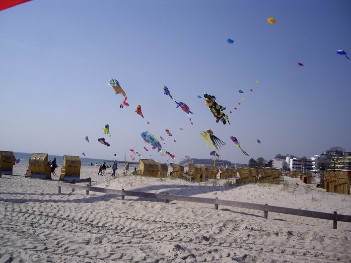 Grmetz 2009 - 09gro11img009.jpg