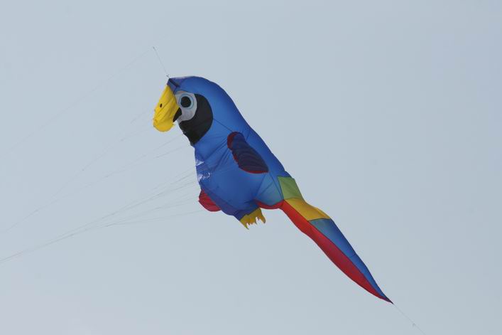 Grmetz 2009 - 09gro11img032.jpg