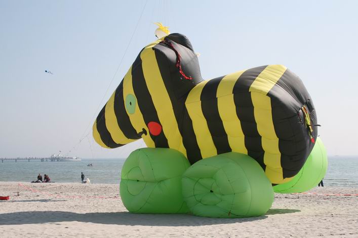 Grmetz 2009 - 09gro13img021.jpg