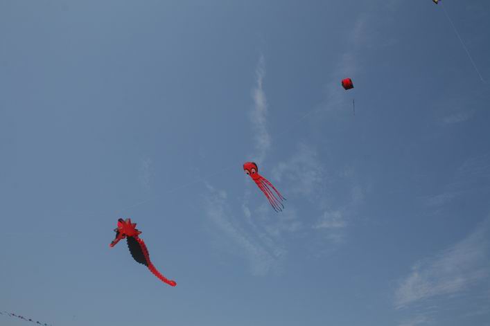 Kappad Beach, Calicut, Kerala, India - 10ker04img083.jpg