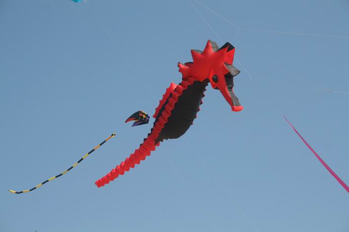 Kappad Beach, Calicut, Kerala, India - 10ker04img096.jpg