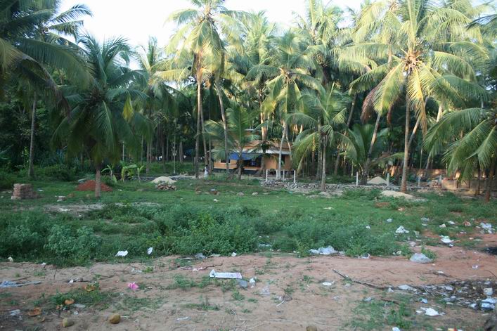 Kappad Beach, Calicut, Kerala, India - 10ker05img088.jpg