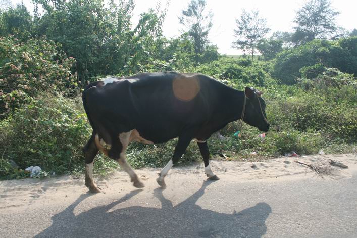 Kappad Beach, Calicut, Kerala, India - 10ker06img120.jpg