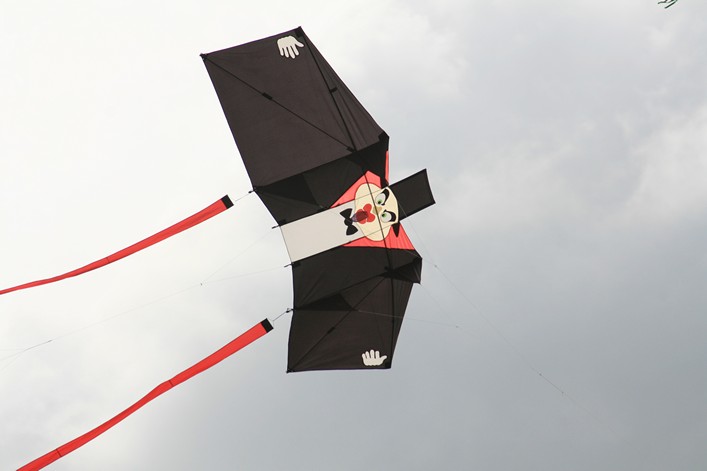 Malmesbury Kite Festival, 23-24 July, 2011 - 11mal23img025.jpg